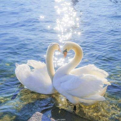 乐鱼下载app截图