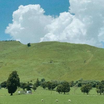 开云·kaiyun体育下载手机版