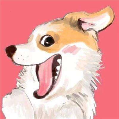 bat软件下载官方