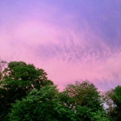 凤凰彩票平台下载app下载