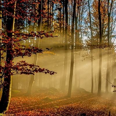 开云·体育(kaiyun)下载手机版