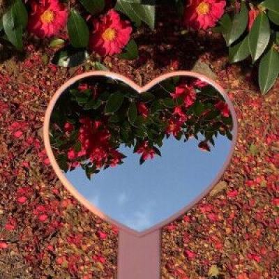 澳门威斯尼斯WNS888入口下载手机版截图