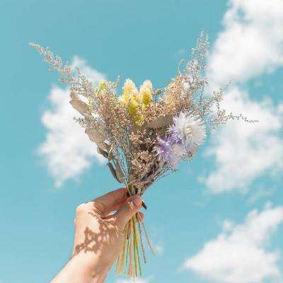 半岛综合app官网登录截图